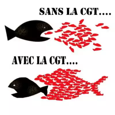 Hôpitaux en lutte à Toulouse