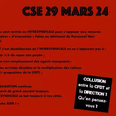 CSE du 29 mars 2024 - C'était joué d'avance !