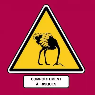 Comportement à risques