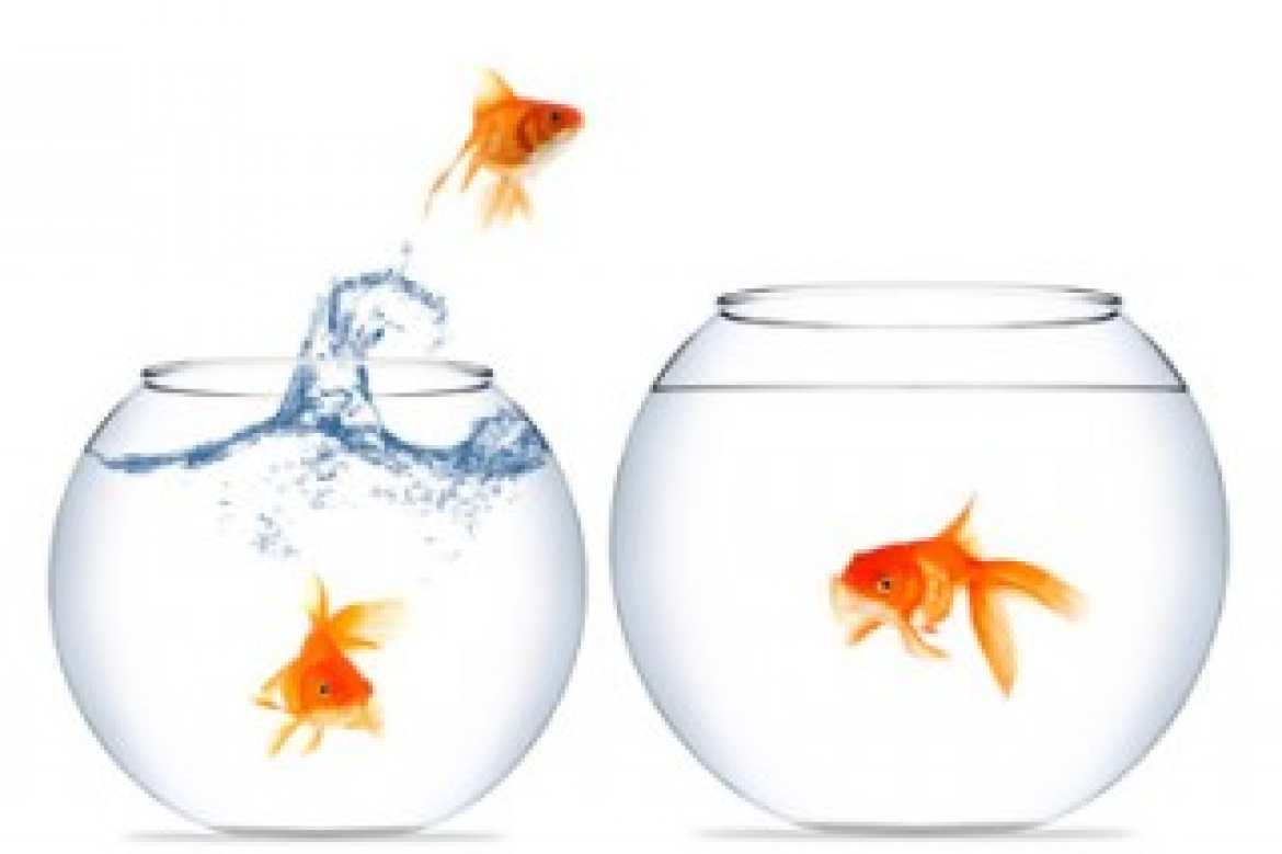 Cliquer sur l'image pour être redirigé.e vers le site de  Service-Public.fr